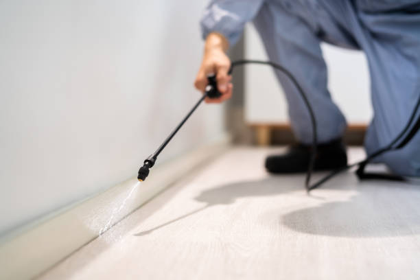 Bed Bug Pre-Treatment Preparation Assessment in Greentown