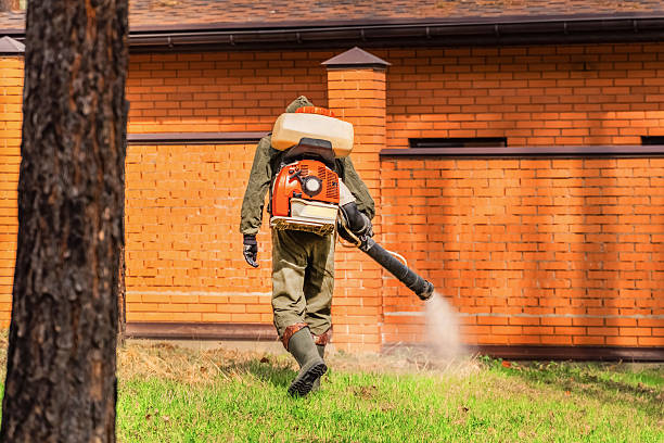 Bed Bug Clearance Verification and Documentation in Greentown